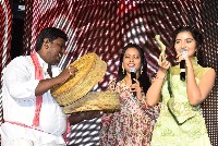 Karthikeya 2 Movie Pre Release Event